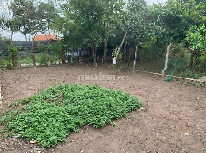 Chính chủ bán đất 198 m2 giáp Thủ Đức, giá tốt-Ngã 3 Cây Điệp,Dĩ An,BD