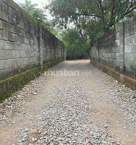 Chính chủ bán đất 198 m2 giáp Thủ Đức, giá tốt-Ngã 3 Cây Điệp,Dĩ An,BD