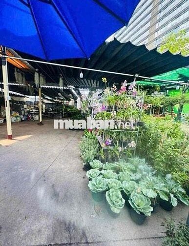 cho thuê mặt bằng Mt đường Nguyễn Văn Linh 700m2