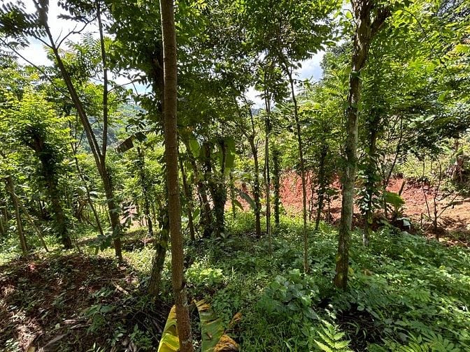 Bán đất nghỉ dưỡng view đẹp tại Khánh Hòa - Hoa hồng cho môi giới: 2%