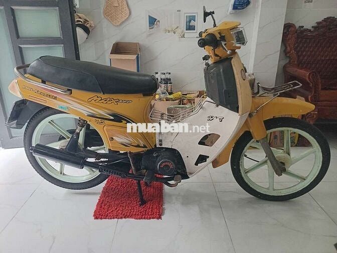 Kawasaki Max