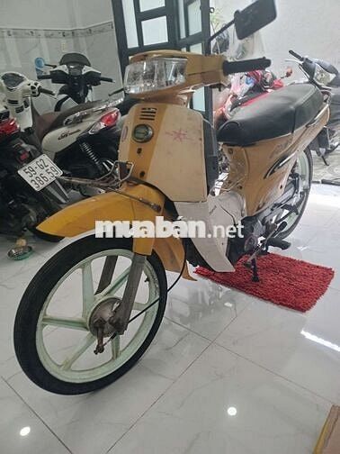 Kawasaki Max