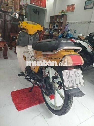 Kawasaki Max