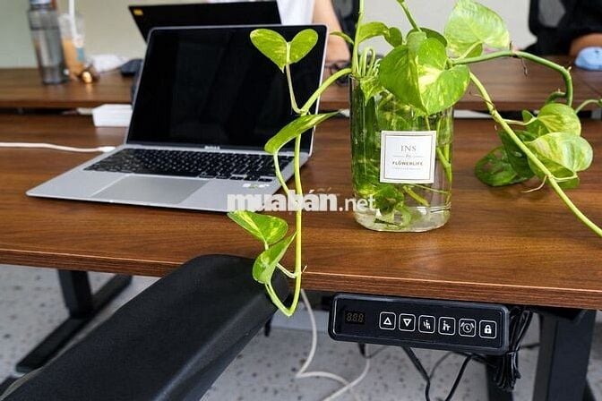 Saigon Coworking Quận 1 | Văn phòng làm việc 24/7 trung tâm Sài Gòn