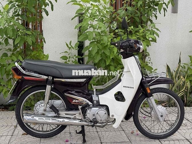 Honda Super Dream Family 2012 Nâu Trắng