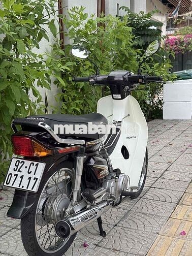 Honda Super Dream Family 2012 Nâu Trắng