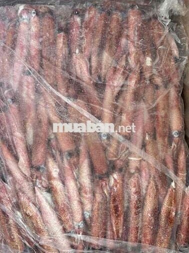 CẦN TUYỂN GIAO HÀNG XE MÁY BÁO ĂN Ở