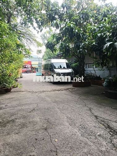 Ford Transit Bạc Xe tải van