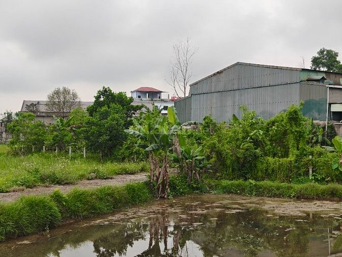 CHÍNH CHỦ BÁN 535m² ĐẤT FULL THỔ CƯ - KHỐI PHỐ NHẬT TÂN, P.THÀNH SEN, 