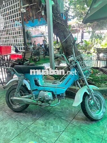 Honda Chaly Cổ điển Xanh phấn