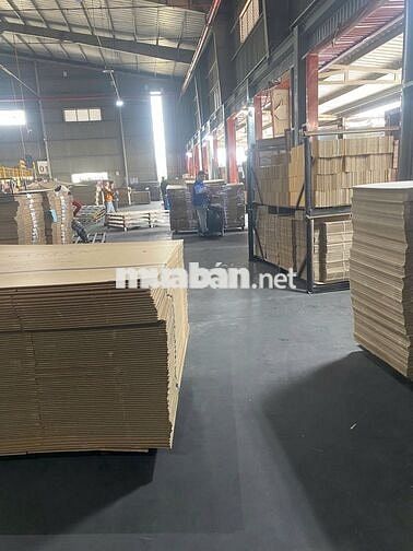 *** 02 TÀI XẾ BẰNG C