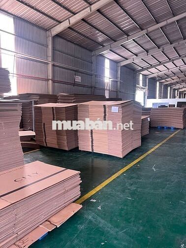 *** 02 TÀI XẾ BẰNG C