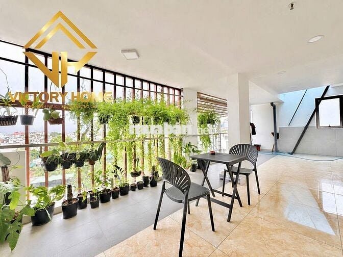 KHAI TRƯƠNG SIÊU PHẨM 60 PHÒNG 10 PHÚT ĐẾN ĐẠI HỌC VĂN LANG CS3