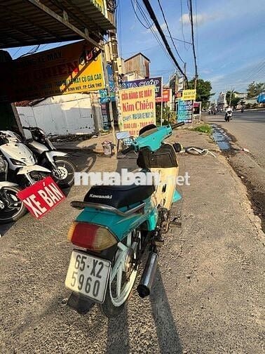 Kawasaki Max Xanh ngọc, Trắng