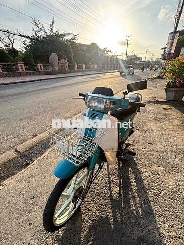 Kawasaki Max Xanh ngọc, Trắng