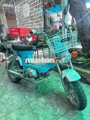 Honda Chaly Cổ điển Xanh phấn