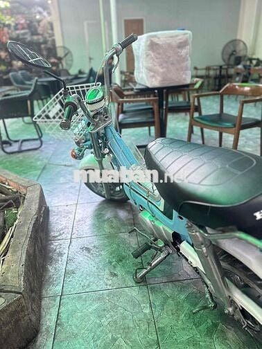 Honda Chaly Cổ điển Xanh phấn