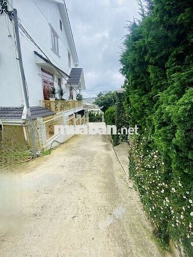 💥LÔ ĐẤT NỞ HẬU ĐÀ LẠT VIEW THOÁNG ĐẸP– 200m² 💥GIÁ TỐT💥