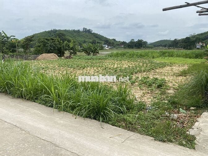 Bán đất nền sẵn sổ 1200m thẳng cánh cò bay Triệu Sơn, Thanh Hóa 