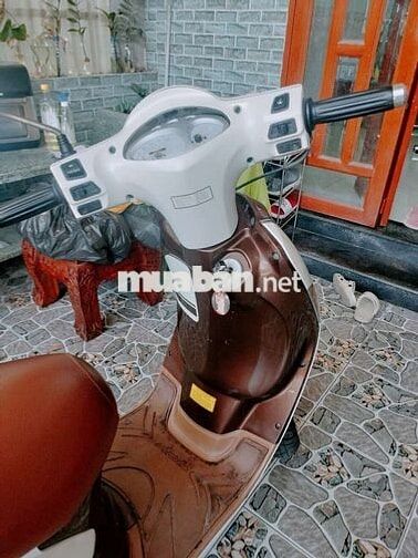 SYM Elizabeth Fi Đời cao Trắng, Nâu Zin êm