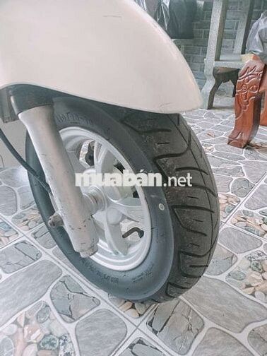 SYM Elizabeth Fi Đời cao Trắng, Nâu Zin êm
