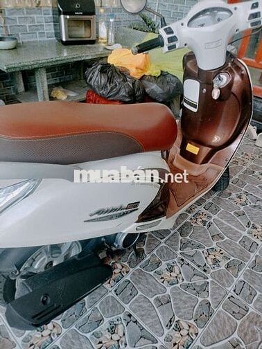SYM Elizabeth Fi Đời cao Trắng, Nâu Zin êm