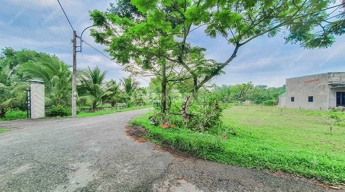 Bán nhanh lô đất 107 m2 Thái Mỹ, Củ Chi giá 599 triệu 