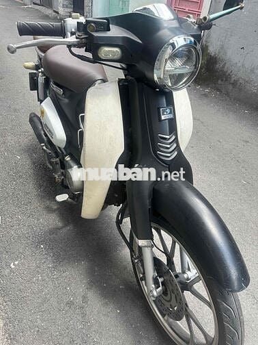 Detech Cub Classic 50 2021 máy zin êm áo liền lạc