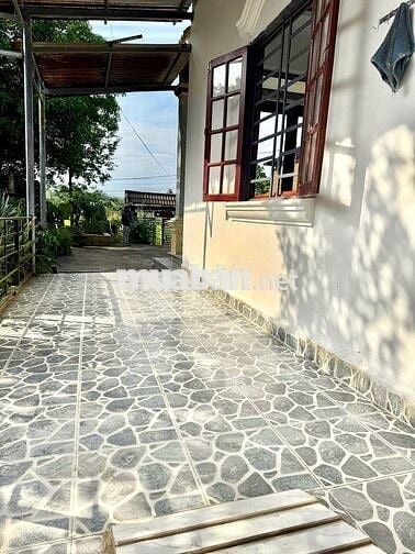  NHÀ NGUYÊN CĂN SÂN VƯỜN 300M² – KHÔNG GIAN SỐNG THOÁNG ĐÃNG GẦN BÀ NÀ