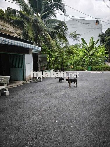 thuê nhà làm kho ĐS1, Nam Hùng Vương, 4*20, 1lửng, hẻm🚗 quay đầu, 7,5t