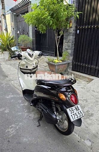 Yamaha Mio Classico Nâu 59NA-175.55