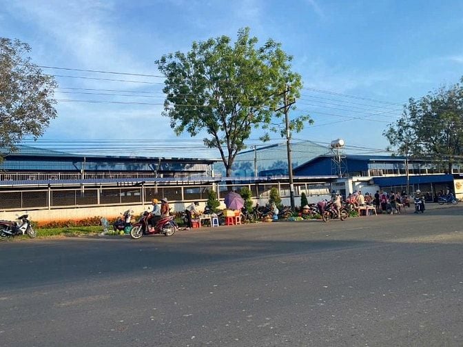 Kẹt tiền KD bán gấp 1000m2 đất SHR ngay KCN nhà máy đang HĐ. Gía 220tr
