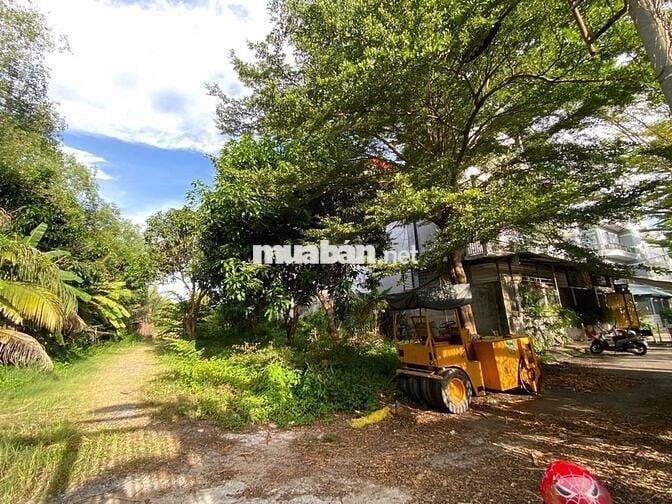Đất tại Lê Văn Lương - Ngay khu dân cư Thanh Nhựt - 160m2.