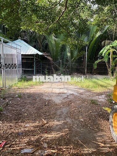 Đất tại Lê Văn Lương - Ngay khu dân cư Thanh Nhựt - 160m2.