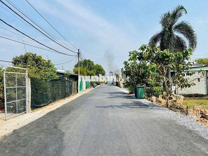 Cần bán lô đất Tân An Hội Củ Chi 500m2 ngang 13x38m, Sổ Hồng Riêng