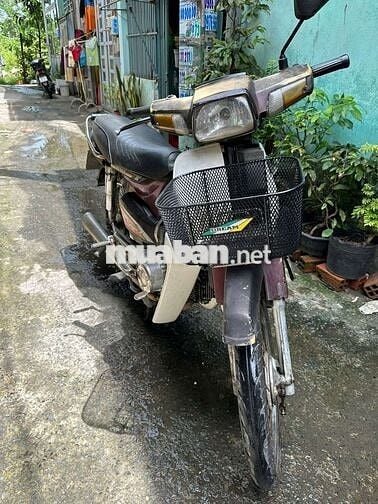 Honda Dream Hàn Quốc Nâu, Trắng