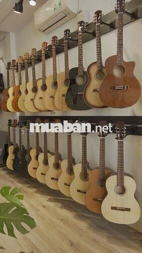 Tuyển NV Nữ Bán Nhạc Cụ Part Time Q3