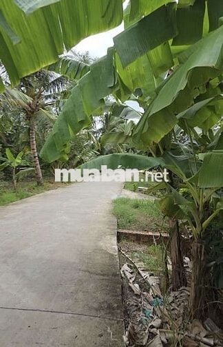 HƠN 1000M² LỘ Ô TÔ VIEW SÔNG - GIÁ CỰC TỐT