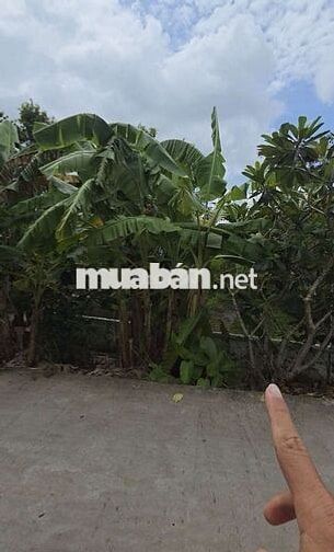 HƠN 1000M² LỘ Ô TÔ VIEW SÔNG - GIÁ CỰC TỐT