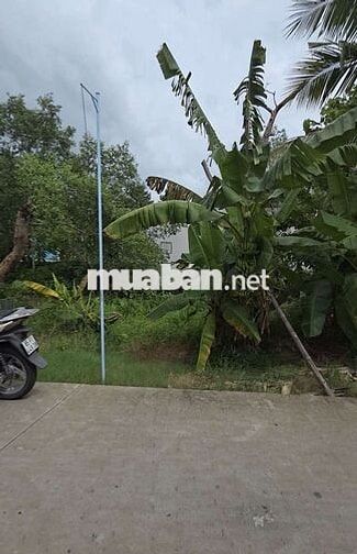 HƠN 1000M² LỘ Ô TÔ VIEW SÔNG - GIÁ CỰC TỐT