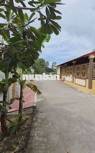 HƠN 1000M² LỘ Ô TÔ VIEW SÔNG - GIÁ CỰC TỐT