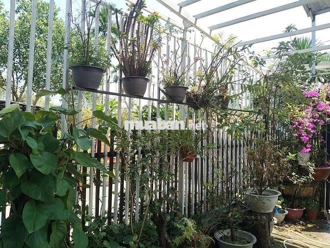 Nhà cấp 4 kiên cố ngay chợ Mười Giờ