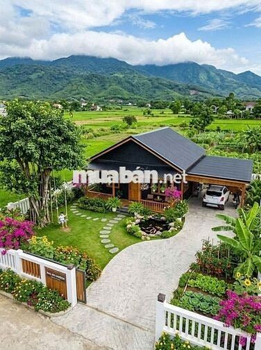 1800m² Đất 2 Mặt Tiền Đường Nội Bộ Song Hành Cách Chợ Hóc Môn 1,5km