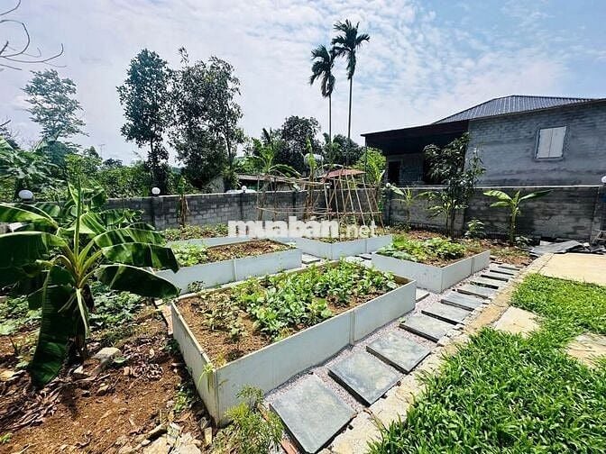 Bán Nhà tại Thị trấn, 1,23 tỷ, 200m2, 3PN, 3WC