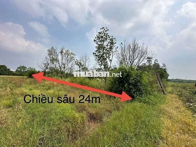 CHÍNH CHỦ CẦN BÁN ĐẤT RUỘNG DT 354M DÃ CÓ SỔ ĐẤT NN GIÁ CHỈ 300TR