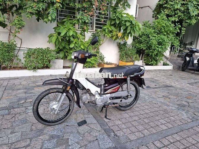 xe dream hàn quốc