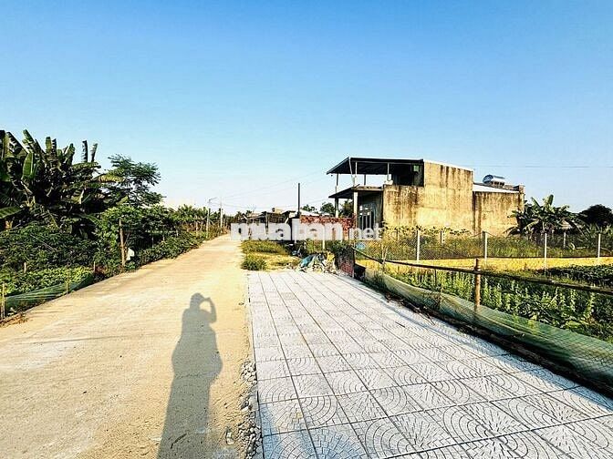 Cần Bán Nhanh Lô Đất Ngang 7m  Tại Phong Lục Tây, Giá Chỉ 1 tỷ 250