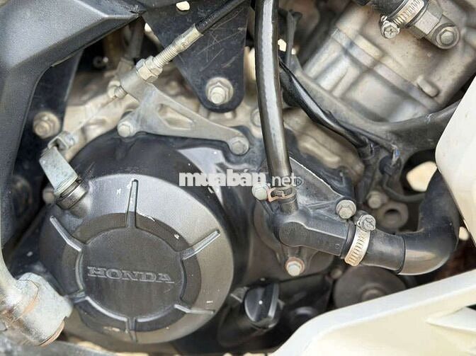 winer v1