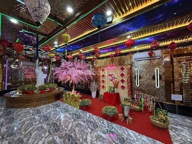 Tòa Nhà 11m x 50m, Hầm 8 Tầng, HĐT Khoán 330tr/tháng, Giá Rẻ Đầu Tư