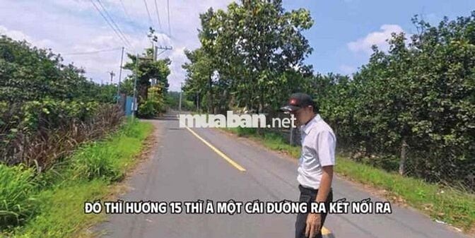 NGỘP !! Bán 3000m2 Hương Lộ 15 có 300m2 thổ cư View sông Vĩnh Cửu ĐN